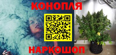 стаф Краснодар